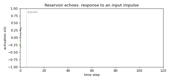 Reservoir echoes